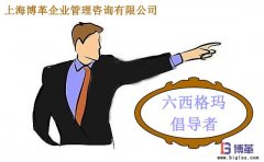 六西格瑪管理中倡導(dǎo)者的職責(zé)是什么？